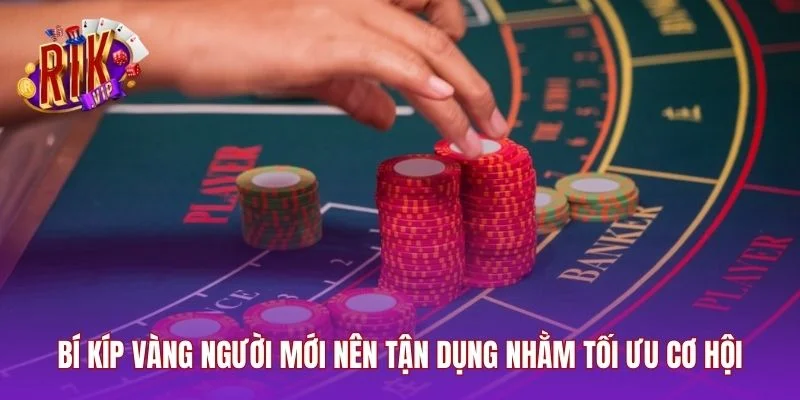 Bí kíp vàng người mới nên tận dụng nhằm tối ưu cơ hội