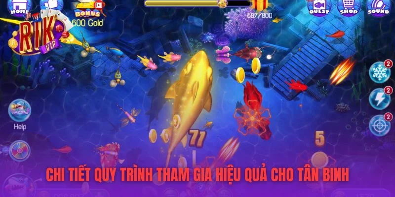 Chi tiết quy trình tham gia hiệu quả cho tân binh
