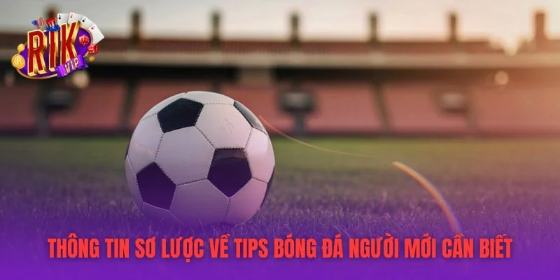 Thông tin sơ lược về tips bóng đá người mới cần biết