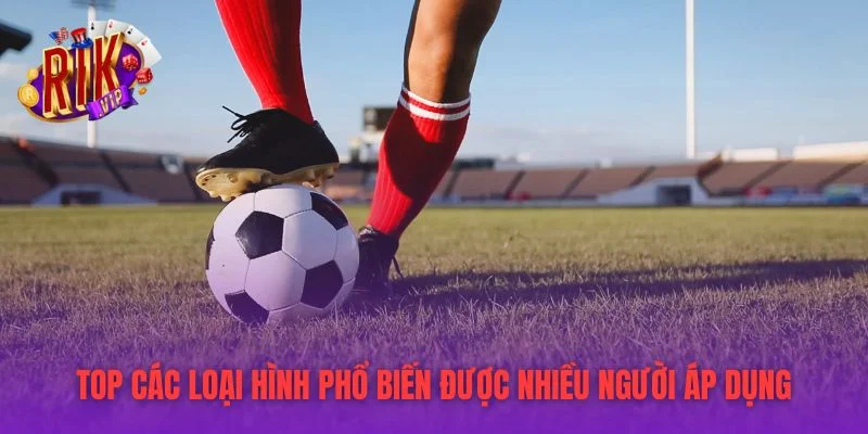 Top các loại hình phổ biến được nhiều người áp dụng